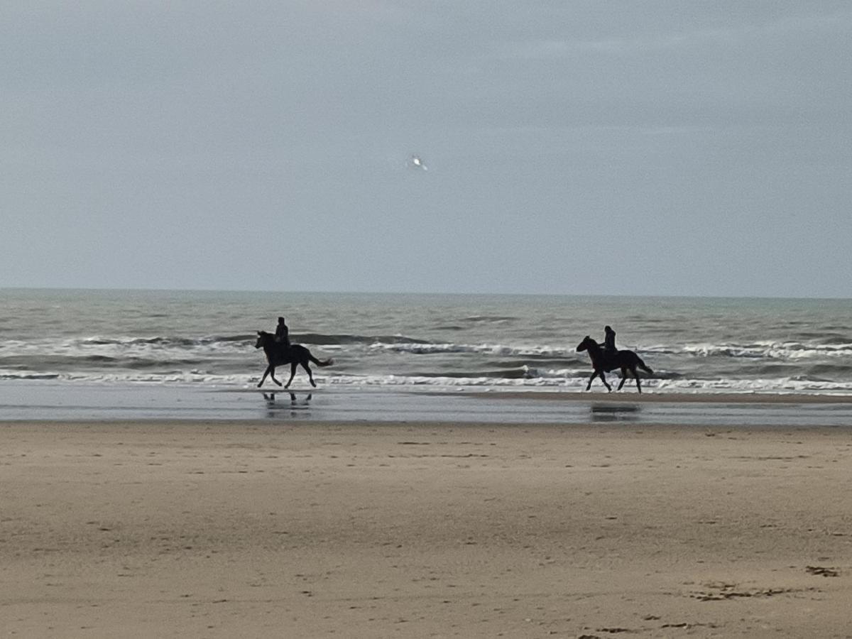 Gite Dans Le Pre Hesdin L'Abbe Carly Luaran gambar